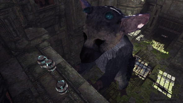 The Last Guardian: Последний хранитель [PS4, русские субтитры] в Чебоксарах