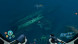 Игра Subnautica: Below Zero [PS5, русские субтитры] в Чебоксарах