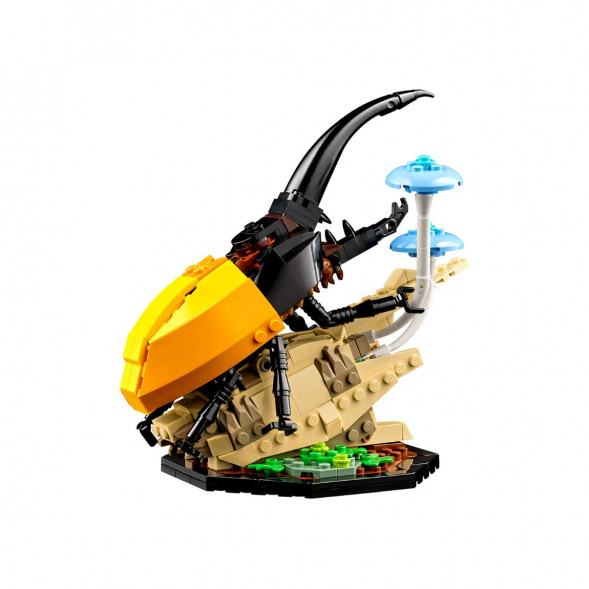 Конструктор LEGO Ideas 21342 Коллекция насекомых в Чебоксарах