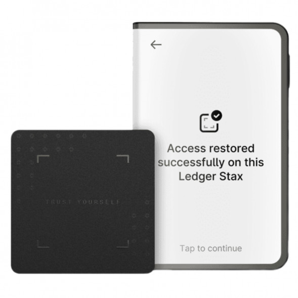 Аппаратный холодный криптокошелек Ledger Stax c чехлом Magnet Shell Black + Recovery Key в Чебоксарах