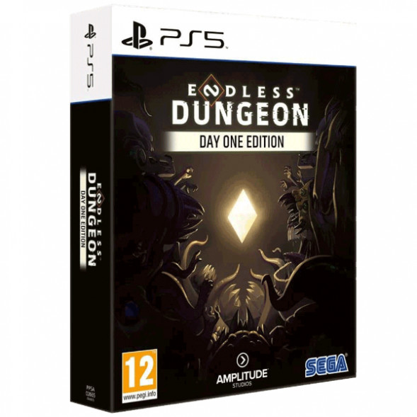 Игра Endless Dungeon. Day One Edition [PS5, английская версия] в Чебоксарах