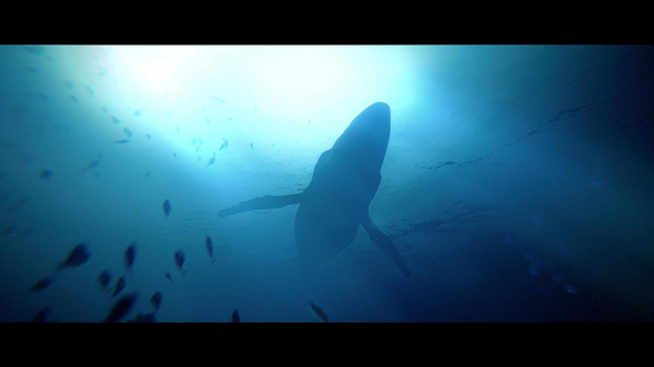 Игра Under The Waves [PS4, русские субтитры] в Чебоксарах