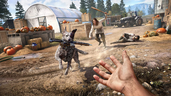 Игра Far Cry 5 [PS4, русская версия] в Чебоксарах